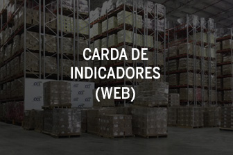 Carga de encuestas dinámicas